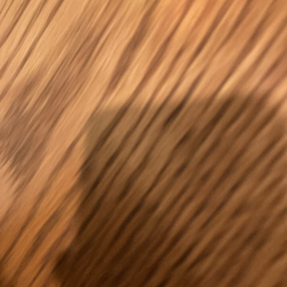 Reformation Heritage KJV Study Bible | Brown Full-grain Leather - Picture 14 of 15